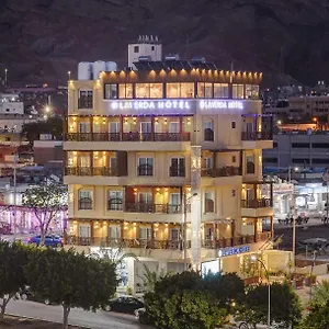 تحقق من التوفر